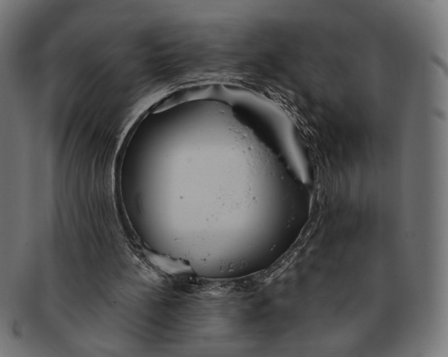 X0000091230148200709061526