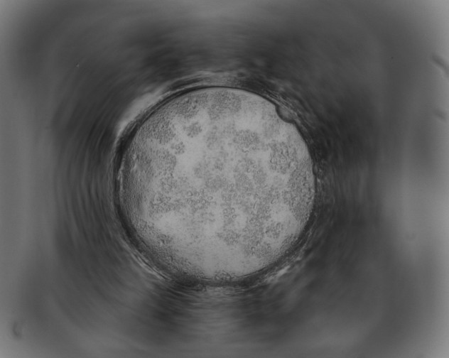 X0000091230149200709061526