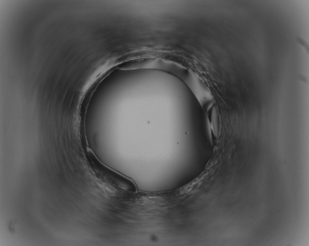 X0000091230150200709061526