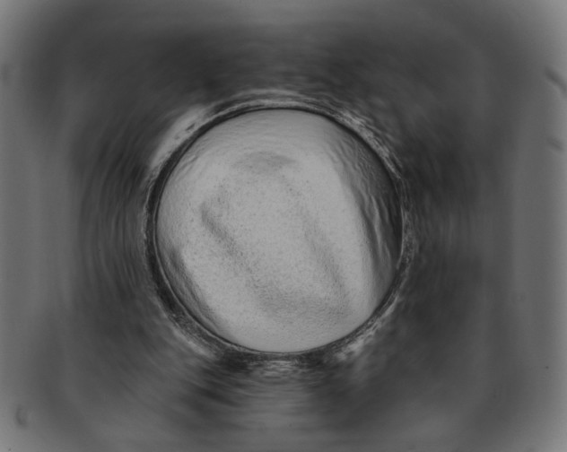 X0000091230151200709061526