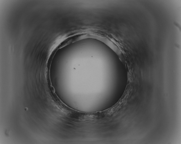 X0000091230152200709061526