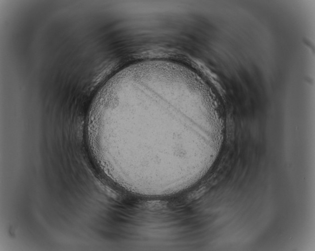 X0000091230153200709061526
