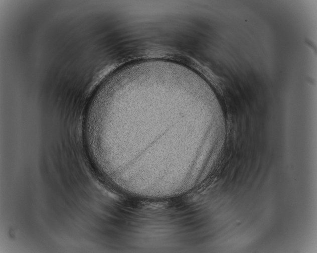 X0000091230155200709061526