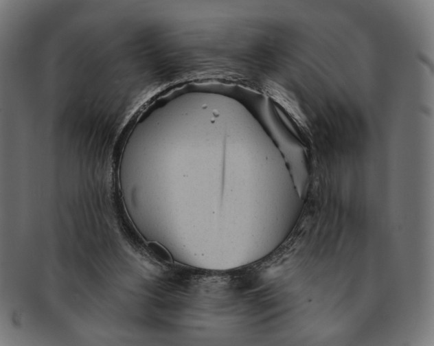 X0000091230156200709061526