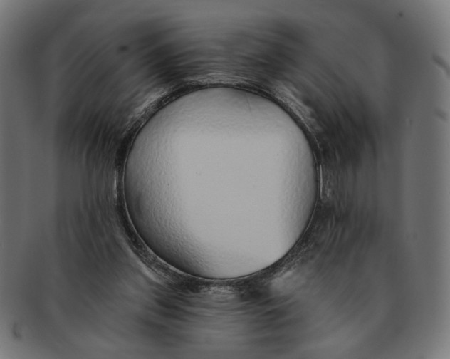 X0000091230157200709061526