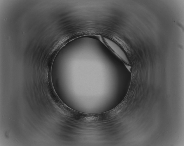 X0000091230158200709061526