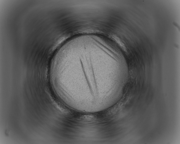X0000091230159200709061526