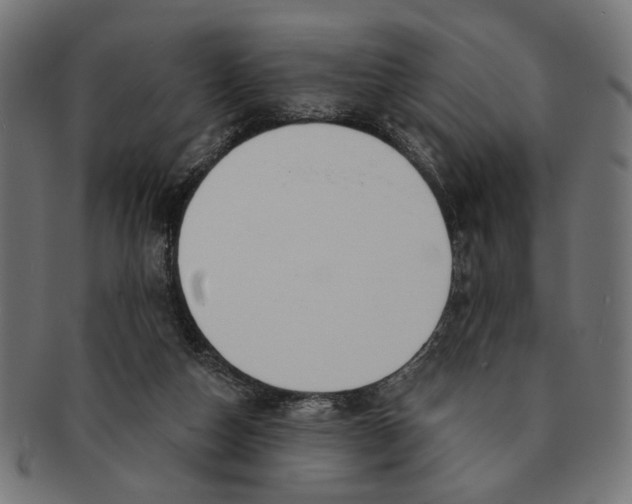 X0000091230162200709061526