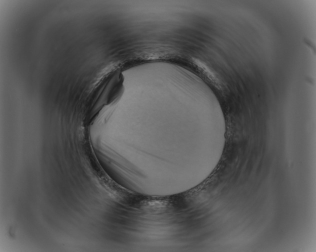 X0000091230163200709061526