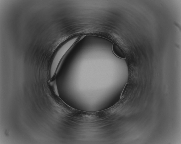 X0000091230164200709061526