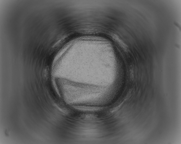 X0000091230165200709061526