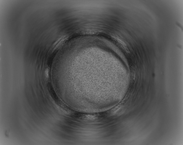 X0000091230166200709061526