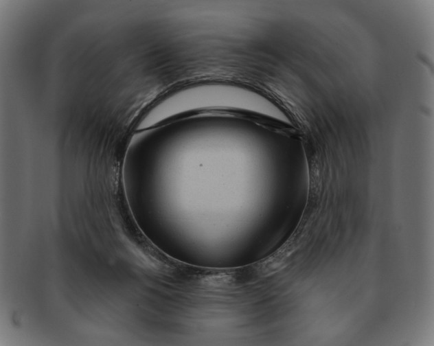 X0000091230168200709061526