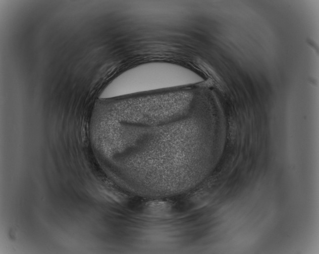 X0000091230169200709061526