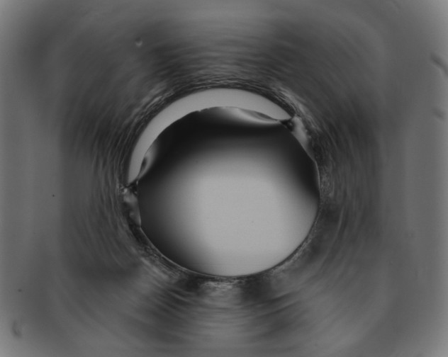 X0000091230170200709061526