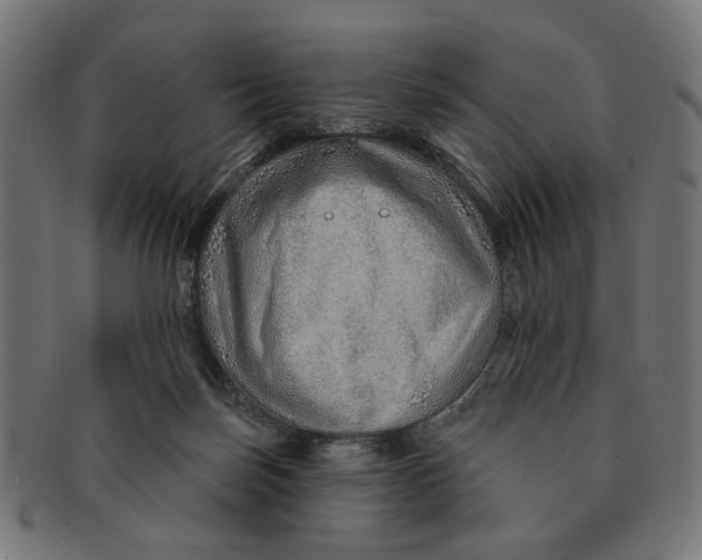 X0000091230171200709061526