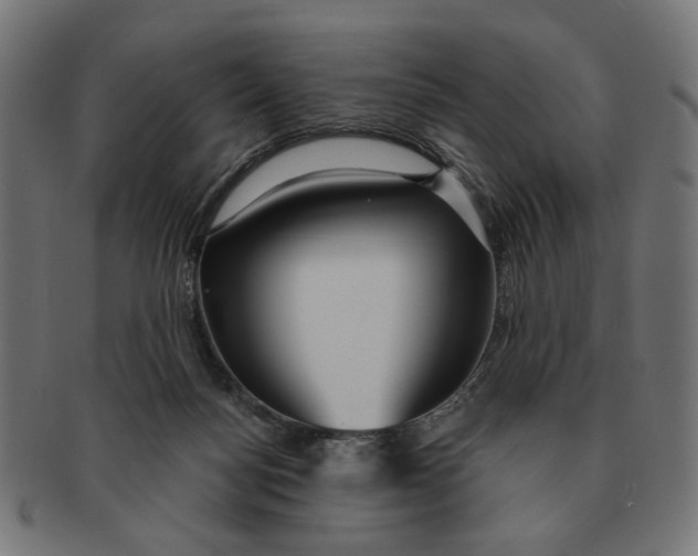 X0000091230172200709061526