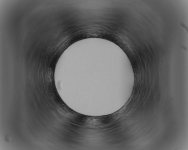 X0000091230174200709061526