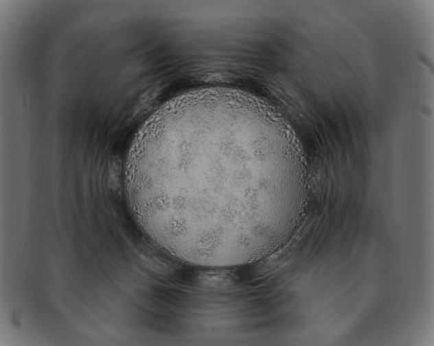X0000091230175200709061526