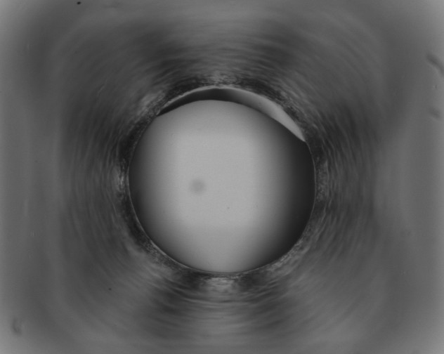 X0000091230176200709061526
