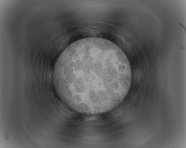 X0000091230177200709061527