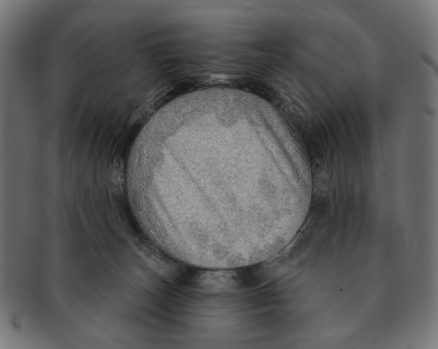 X0000091230179200709061527