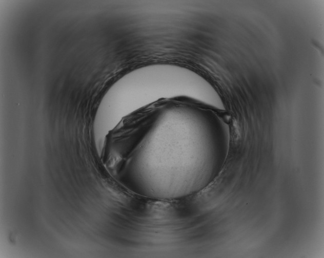 X0000091230180200709061527