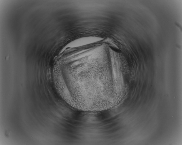 X0000091230182200709061527