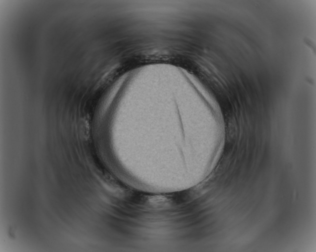 X0000091230183200709061527