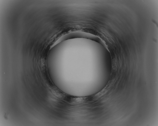 X0000091230184200709061527