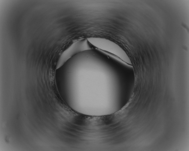 X0000091230186200709061527