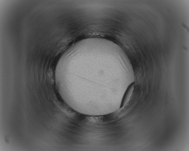 X0000091230187200709061527