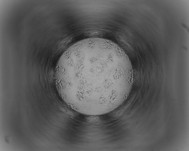 X0000091230189200709061527