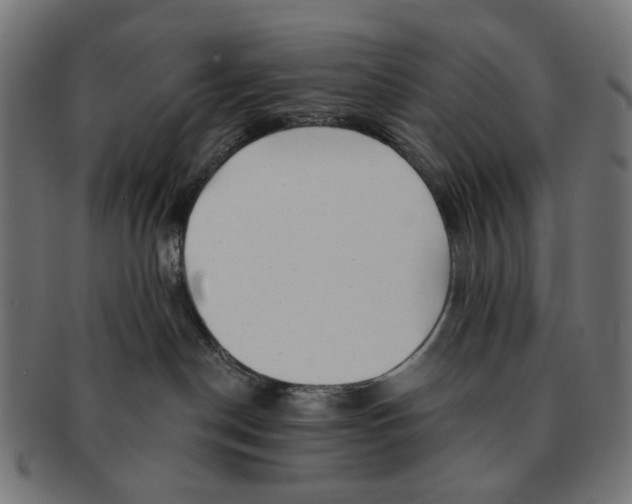 X0000091230190200709061527