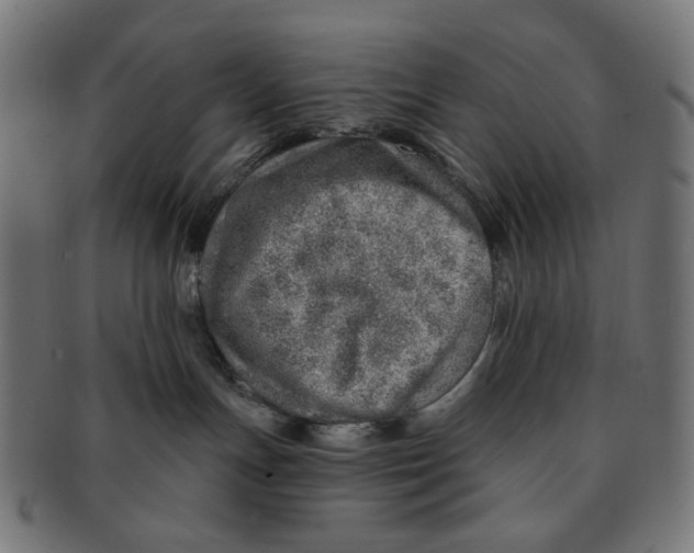 X0000091230191200709061527