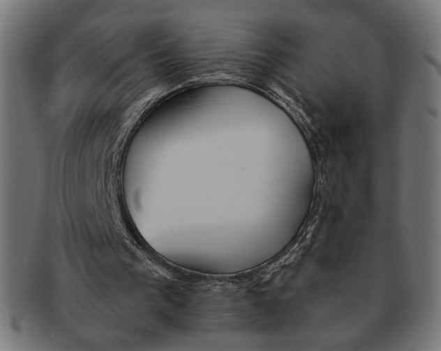 X0000091230193200709061526