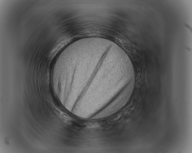 X0000091230194200709061526