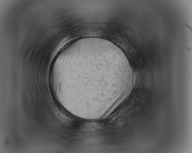 X0000091230195200709061526