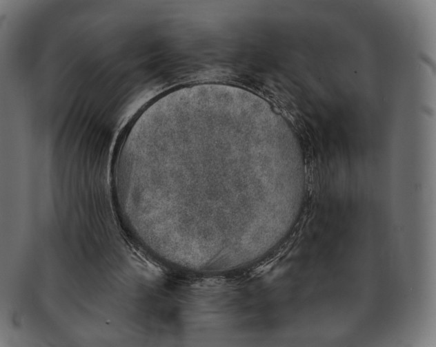 X0000091230196200709061526