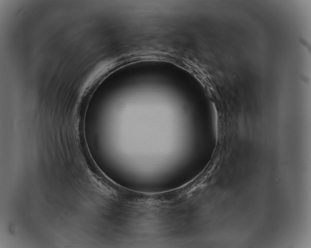X0000091230197200709061526