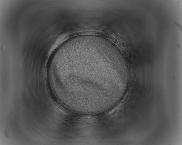 X0000091230198200709061526