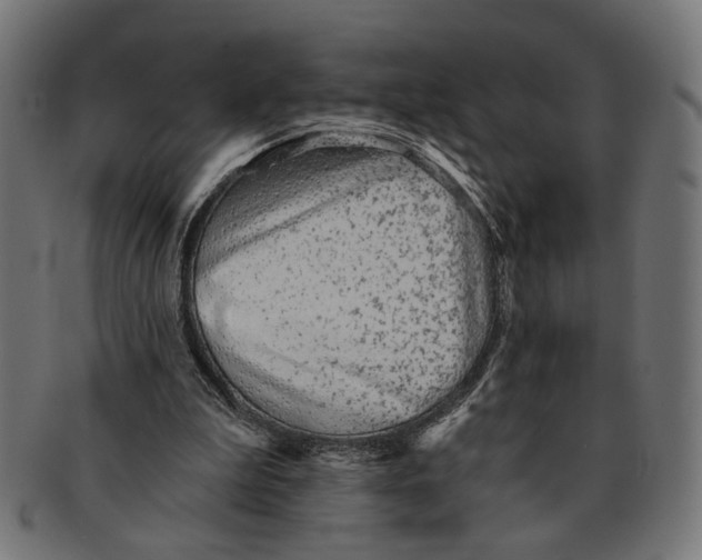 X0000091230199200709061526