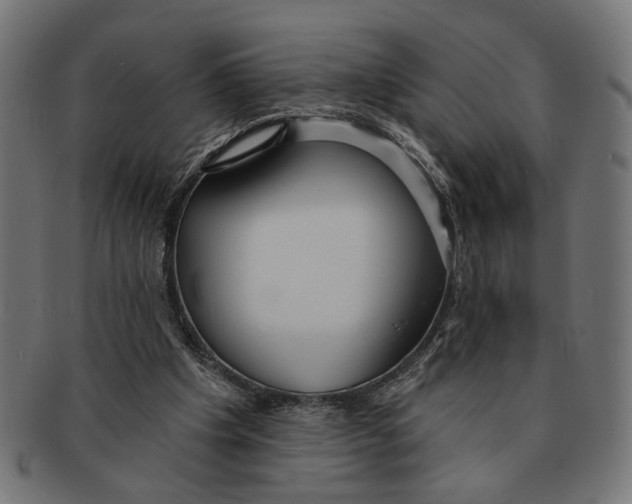 X0000091230201200709061526