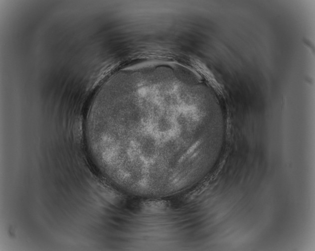 X0000091230202200709061526