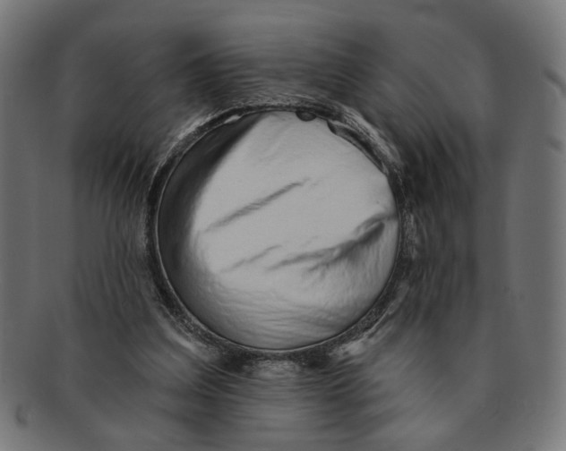 X0000091230203200709061526