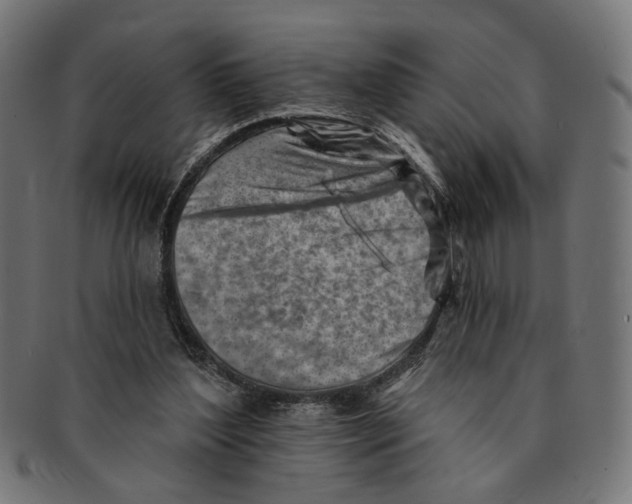 X0000091230204200709061526