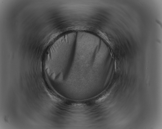 X0000091230205200709061526