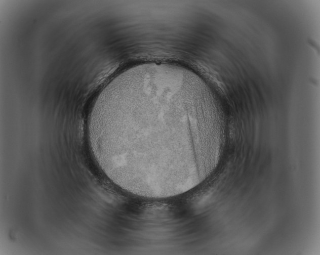 X0000091230206200709061526