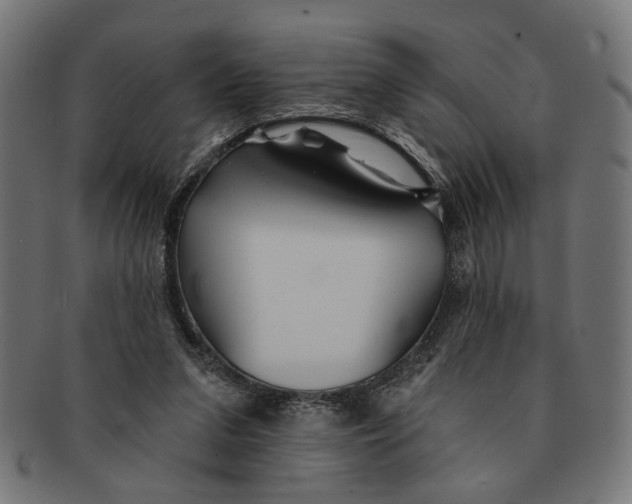 X0000091230207200709061526