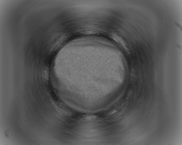 X0000091230210200709061526